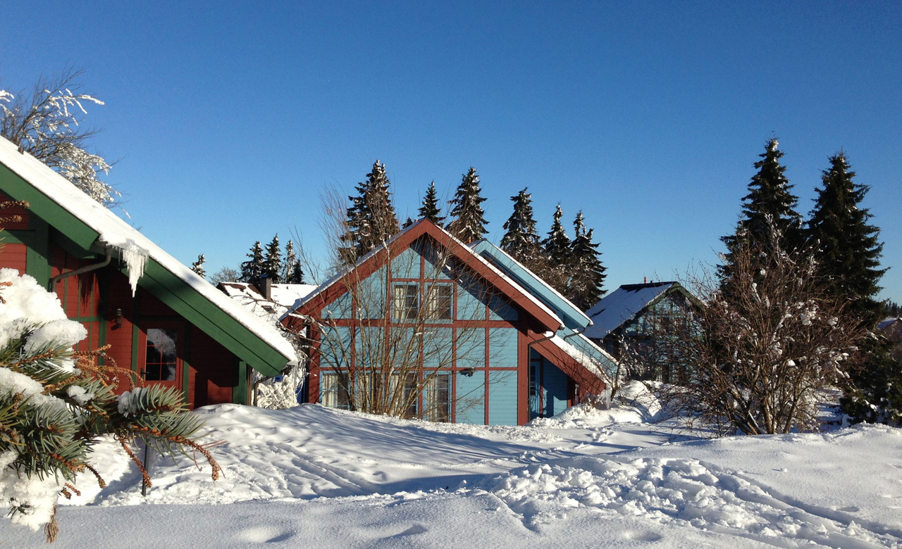 moderne Ferienhäuser vom Sporthotel Oberhof eingebettet in der verschneiten Winterlandschaft des Thüringer Waldes