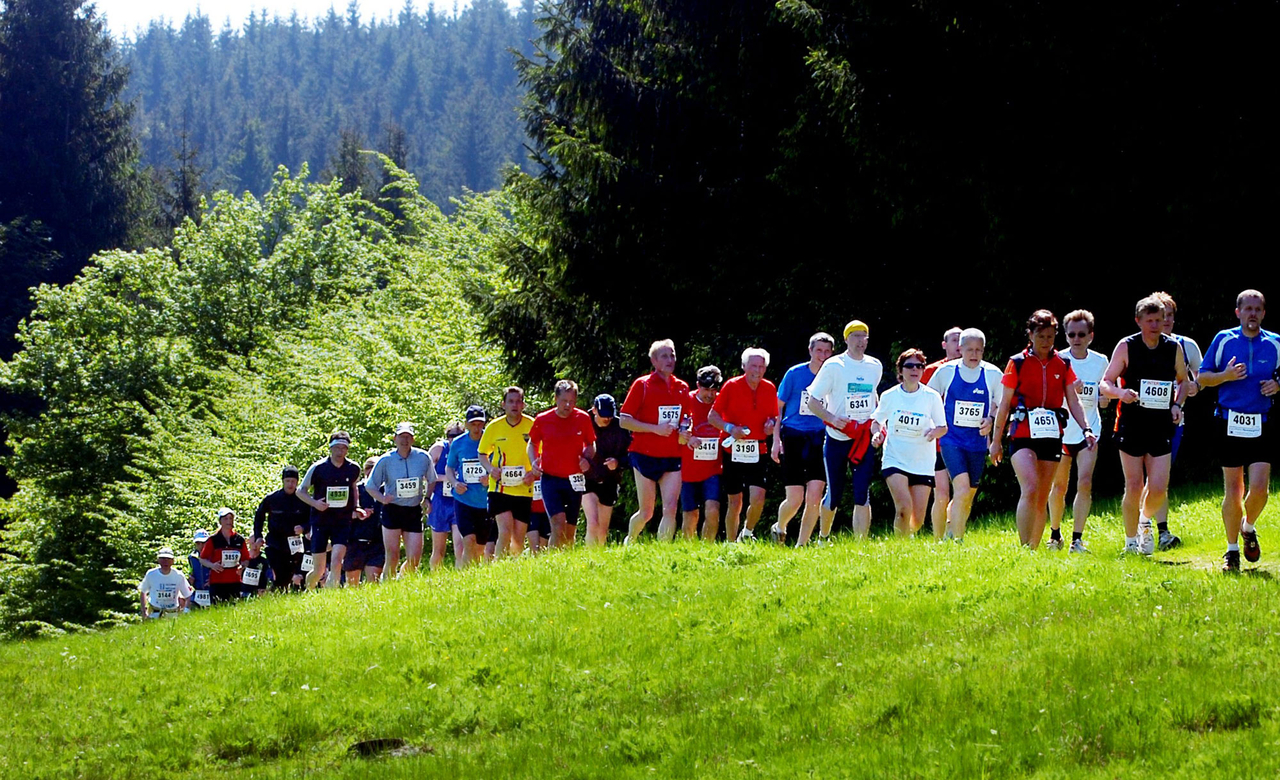 Teilnehmer während des Guth-Muths-Rennsteiglaufs rennen auf einem schmalen Weg über eine Wiese entlang des Rennsteigs im Thüringer Wald